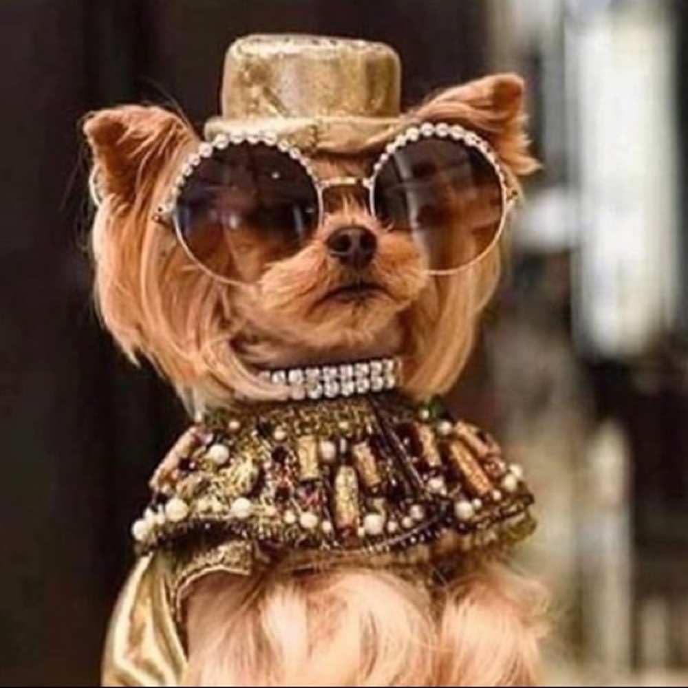 Meet your Posher, Emily